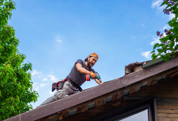 Best Metal Roofing Installation  in Cheat Lake, WV