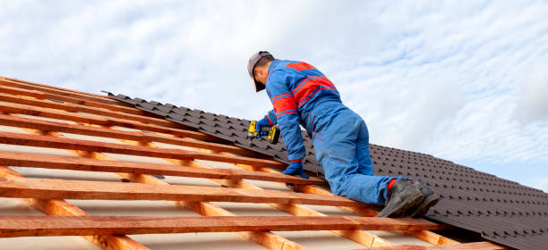 Best Metal Roofing Installation  in Cheat Lake, WV